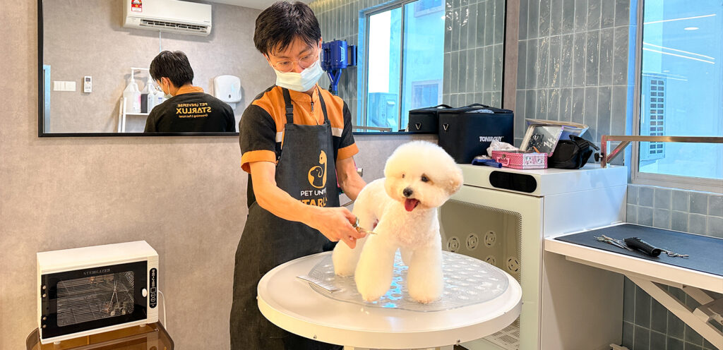 Pet Universe Starlux_您值得信赖的宠物美容院